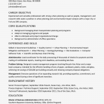 Functional Resume Example and Writing Tips