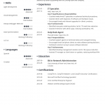 25+ Information Technology (IT) Resume Examples for 2020
