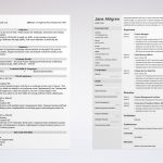 Best Resume Format 2020 (3+ Professional Samples)