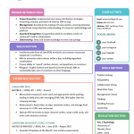 Combination Resume: Template, Examples & Writing Guide